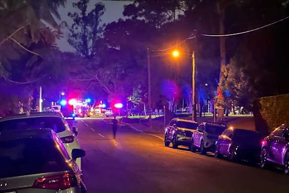A witness described a huge police presence alongside fire and ambulance crews at the park. 