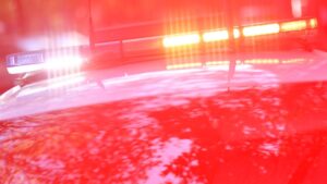 Woman arrested after body of four-year-old boy found on Central Coast