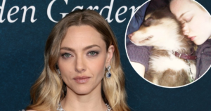 Amanda Seyfried Shares Touching Tribute to Beloved Dog Finn After Death at 16: ‘Forever and Ever’