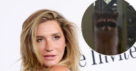 Kesha Loses Fight to Big Feral Raccoon Intruder Refusing to Leave Her Home: ‘Move In’