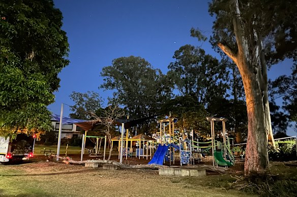 The large branch, which extends the full length of the playground, which struck the woman and boy.