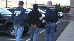 EXCLUSIVE: Legal group tells NYPD cops they can contact ICE directly despite blue city’s sanctuary rules