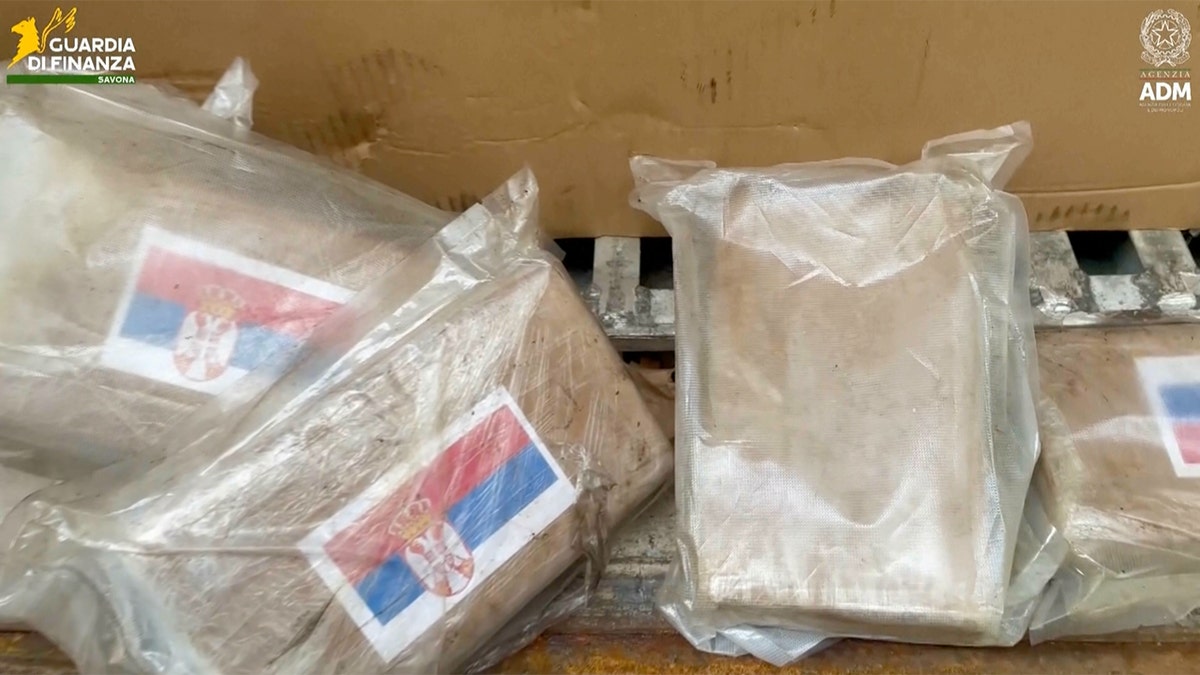 Italian authorities seized roughly 1,700 pounds of cocaine hidden among pallets of bananas at a major port, officials said Tuesday.