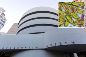 Guggenheim Museum is among 31 UES buildings infected with Legionnaires bacteria