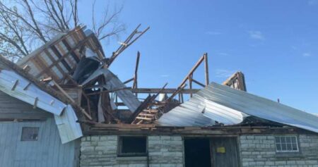 Flattened trees, damaged buildings caused by 2 tornadoes near Kingston: researchers