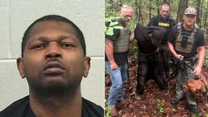 Bloodhound K-9 unit helps bring Georgia manhunt to end with arrest of suspect accused of shooting woman