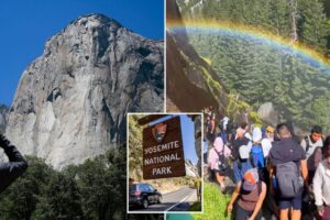 Yosemite begged to make major change as chaos reigns over park