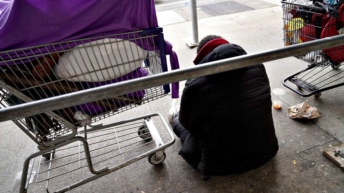 man sitting on sidewalk with shopping carts