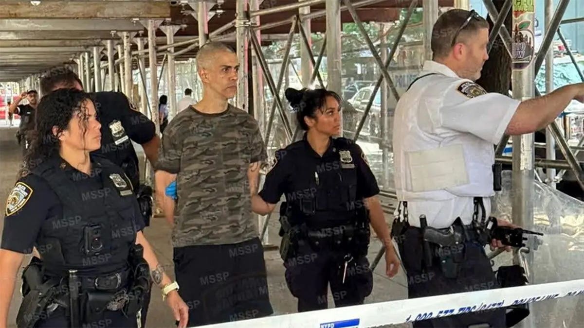 Suspect in New York City stabbings