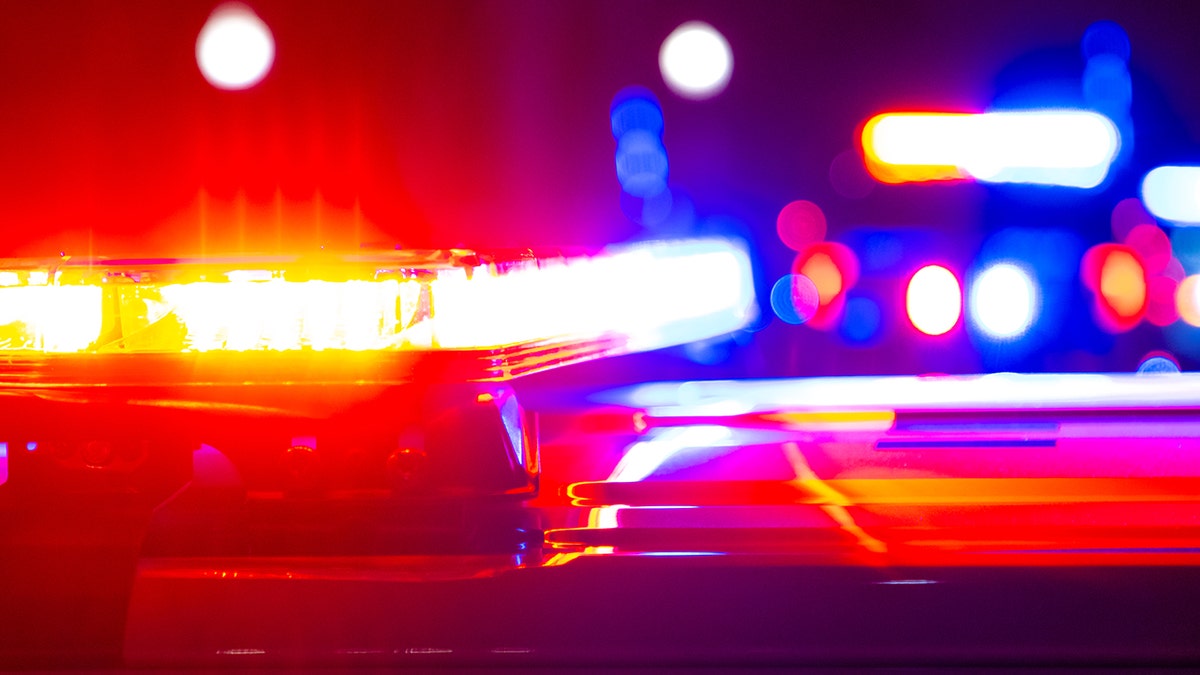 Red and blue emergency lights flash on top of police vehicles at night.
