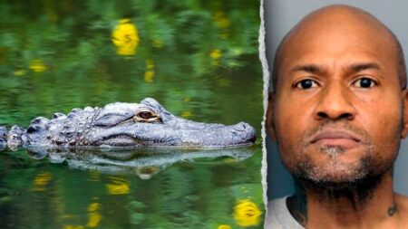 Officers in Maryland respond to reported assault, discover guns and unusual group of animals