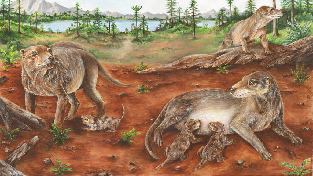 These mammal ancestors birthed live young far earlier than thought