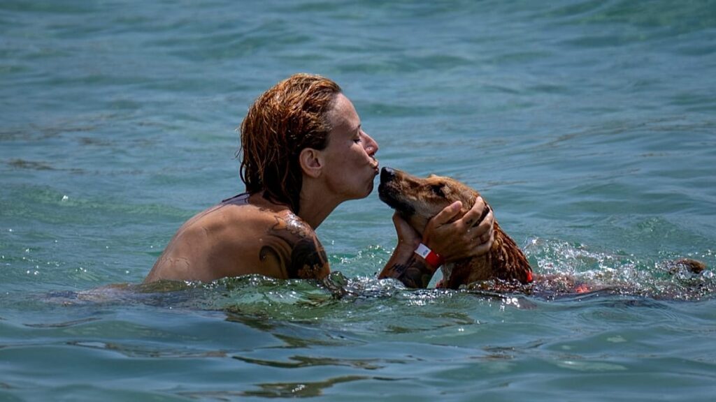 Dog-friendly beaches in Spain: Where to swim with your pet this summer