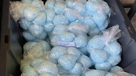 Alleged operator of major darknet drugs platform charged in Germany