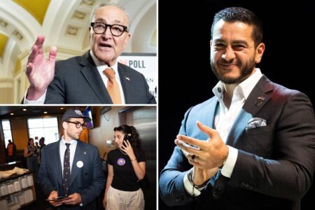 GOP cheers Abdul El-Sayed, and ‘Mini Mamdanis’ as major gift for 2026 midterms