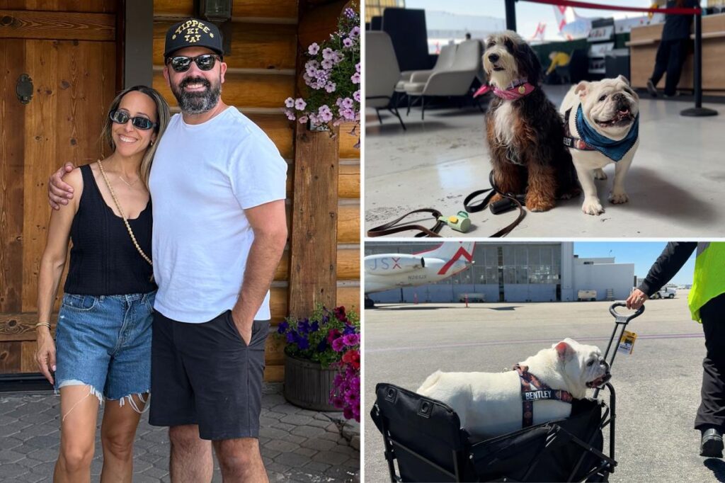 We flew with two dogs on JSX, here’s what it was really like