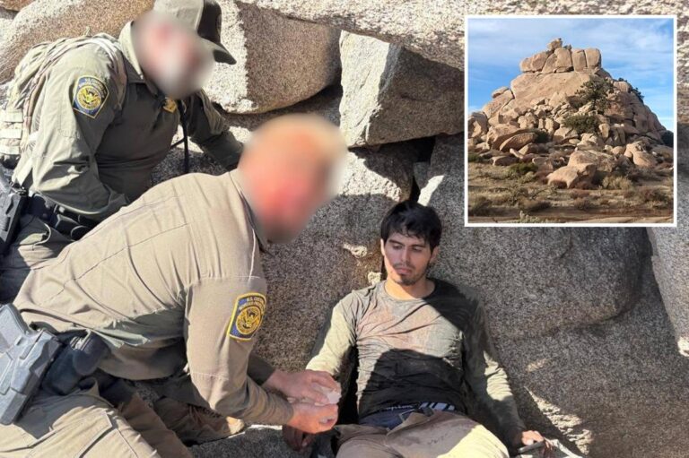 Illegal migrant gets stranded in California desert after crossing Mexico border