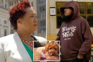 Exclusive | Notorious bail-hating NYC judge releases gunman charged with shooting helpless service dog