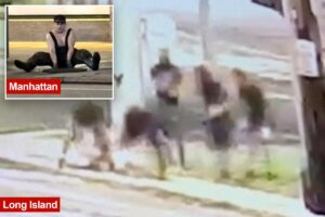 Five Long Island ‘mole people’ seen crawling into manhole — week after headlamp-wearing trio emerged in NYC