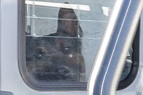  Multiple dogs were removed from the property near Campbelltown on Friday after a 23-year-old man was found dead.