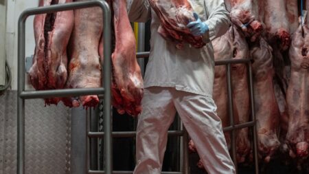 Alleged pork plotters linked to $10 million smuggling scheme