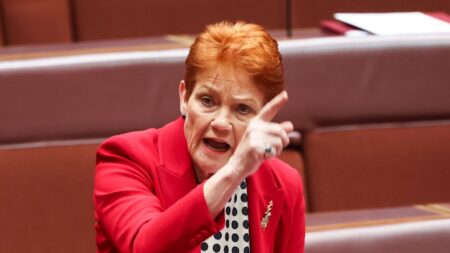 One Nation’s idea of Australian culture is obsolete