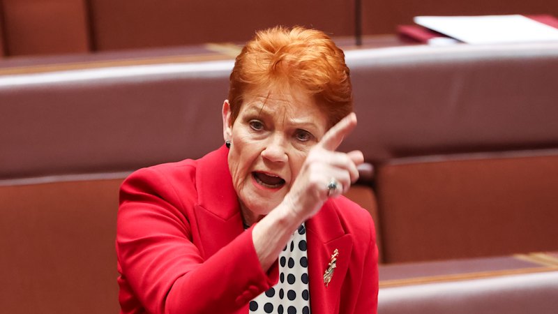One Nation’s idea of Australian culture is obsolete
