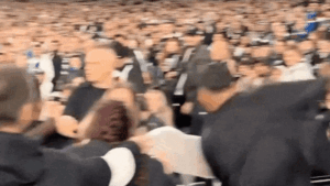 Four men ejected from MCG after fight during Collingwood-Western Bulldogs wildcard AFL game