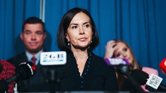 NSW Education Minister Prue Car has asked NESA for a moratorium on take-home HSC assessment tasks due to the threat of AI.
