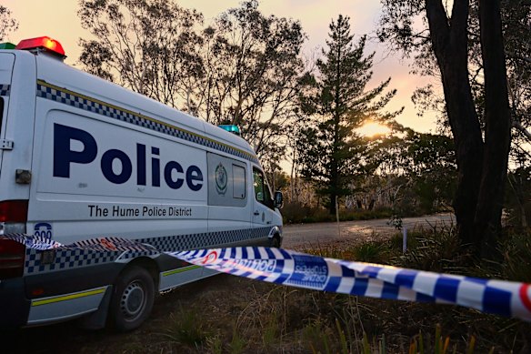 The remains were discovered under the pine tree metres from the road. 