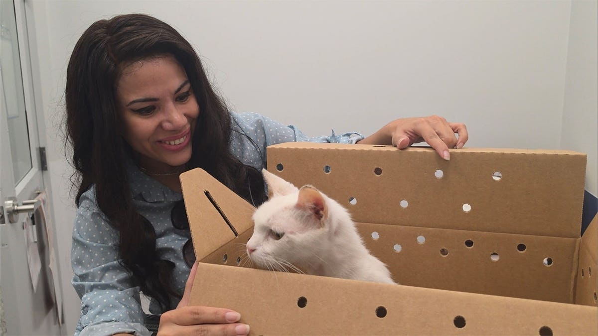 Florida woman Jisel Leon reunites with cat Blizzard