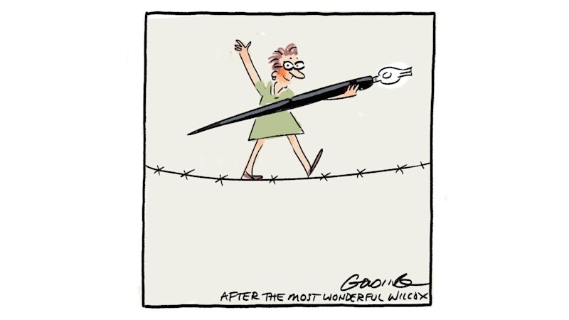 Tributes of cartoonist Cathy Wilcox after 37 years at the Herald