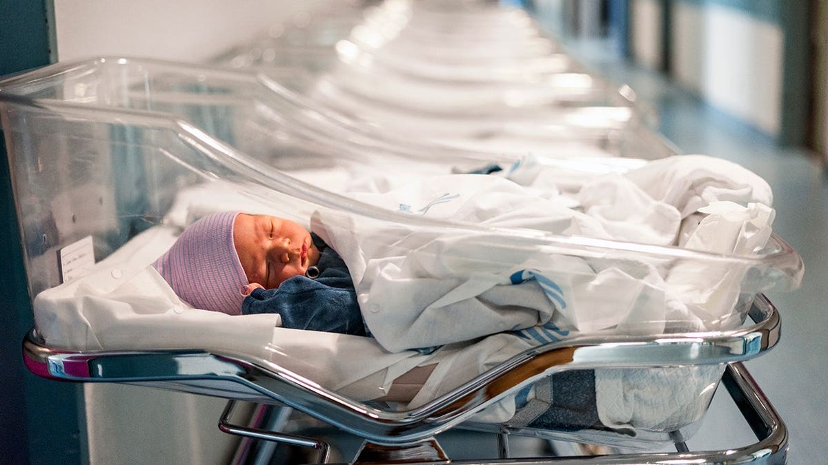 Newborn baby boy in a transparent portable hospital bed.
