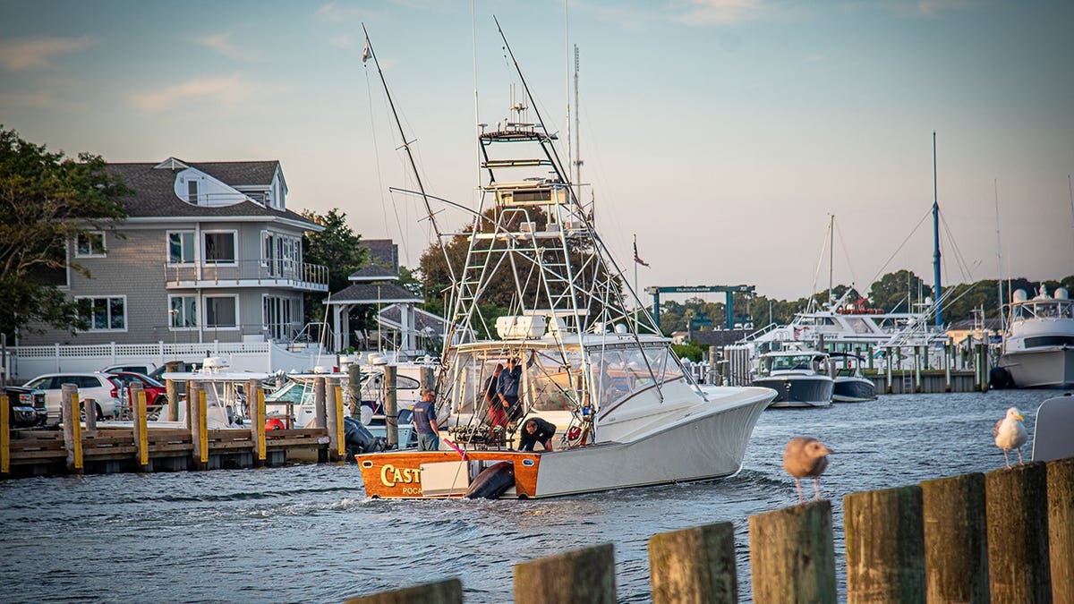 Crew of the Castafari arrives in Falmouth Harbor with a giant blue marlin.