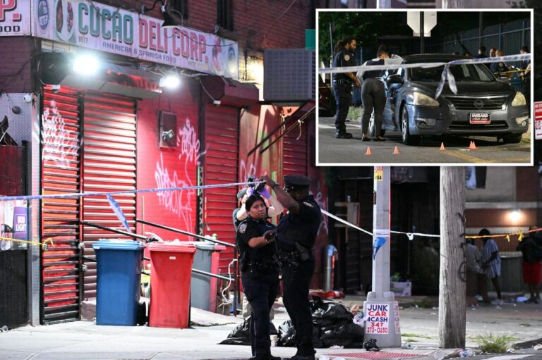 Innocent NYC woman, 33, bleeds out in bar bathroom after being struck by stray bullet