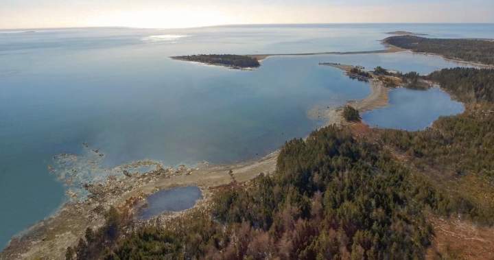 Whale sanctuary project secures 20-year Nova Scotia lease despite ongoing opposition
