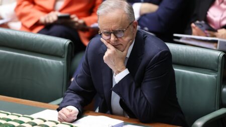 Coalition will force Albanese to cede ground on gambling reforms; Woman arrested after four men stabbed in London