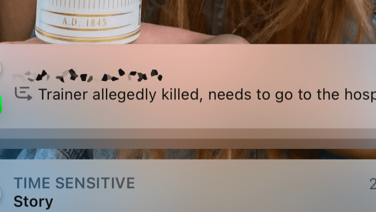 notification summary for a text message