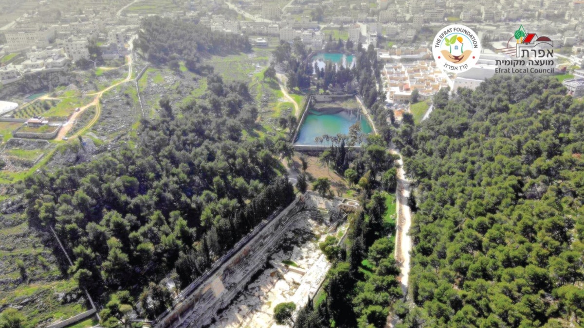 Solomon's Pools