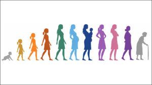 During menopause, brain changes surprisingly take a break