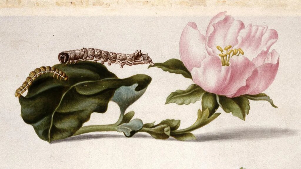 Historical art can hide scientific secrets