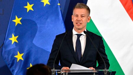 Hungary takes one more step to normalise relations with Brussels