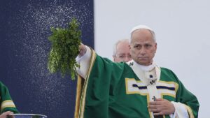 Pope Leo XIV calls for Church to continue fight against sexual abuse