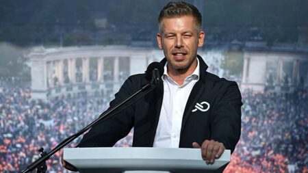 Hungary to overhaul restrictive Orban-era child adoption measures