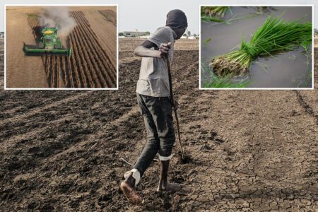 Super El Niño could spike food prices by double-digits — and it could take years to return to normal