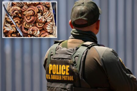 Viral bakery believed delivery driver stole $3K in cinnamon rolls — until Border Patrol stepped in
