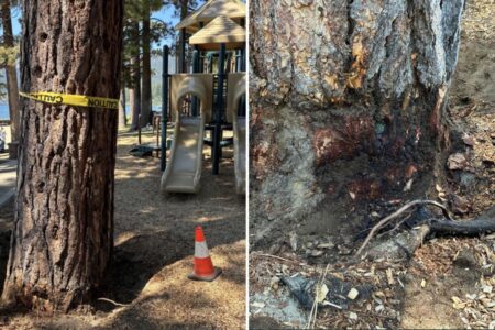 Billionaire’s playground offers $147K to unmask mystery poisoning suspect