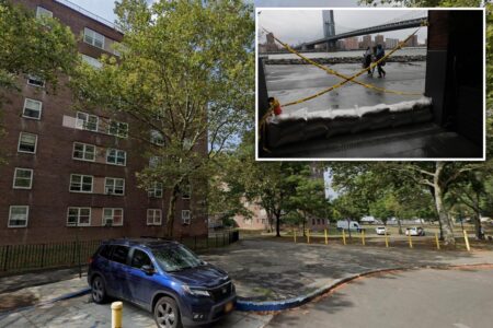 NYC man killed from falling tree as nor’easter bears down tri-state with extreme wind gusts