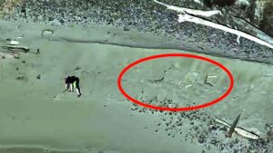 Tourists seeking ‘dramatic’ photo on isolated beach trapped by incoming tide