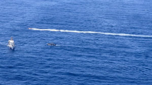 At least 40 rescued, 2 dead as boat capsizes after machete fight near Puerto Rico